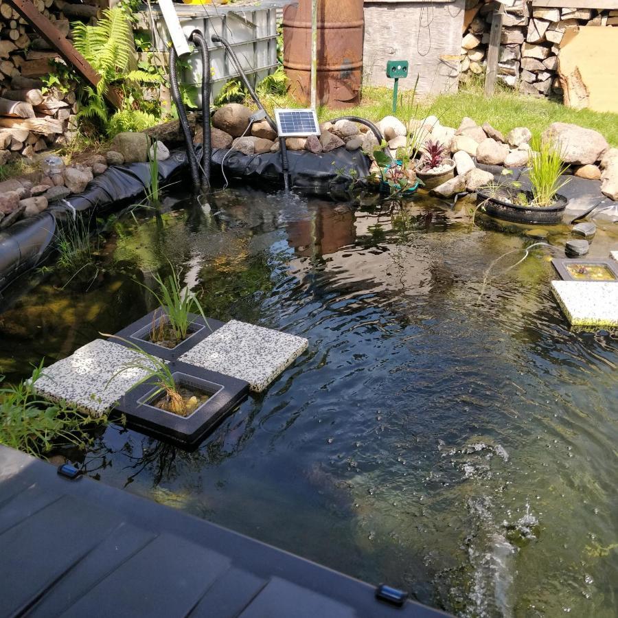 Gaestehaus Am Teich Raben Steinfeld Extérieur photo